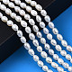 Natural Cultured Freshwater Pearl Beads Strands PEAR-N012-04C-6