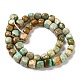 Chapelets de perles en turquoise naturelle G-P506-06A-3
