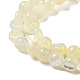 Fili di perline di conchiglia bianca naturale SSHEL-H072-03-3
