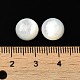 Cabuchones de conchas blancas naturales SSHEL-M022-01C-3