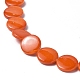 Fili di perle d'acqua dolce naturali verniciate a spruzzo SHEL-C003-05-4