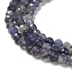 Natural Iolite Beads Strands G-J400-E05-02-4