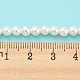 Brins de perles de coquillages naturels galvanisés SHEL-F008-03A-01-5