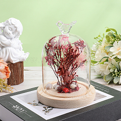 1 шт. стеклянный купол AJEW-SC0002-61A