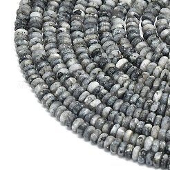 Природные лабрадорита бисер нитей G-P575-A50-4x2mm