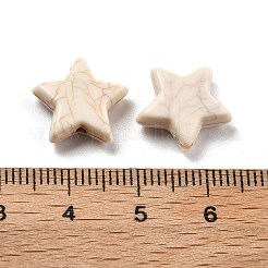 Хрустящие непрозрачные акриловые бусины&nbsp;OACR-Z026-06C