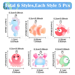 30шт 6 стиля непрозрачные подвески из смолы&nbsp;RESI-YW0003-50