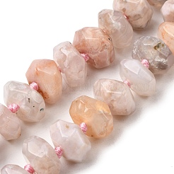 Натуральные вишневые агатовые бусины&nbsp;G-K195-04A