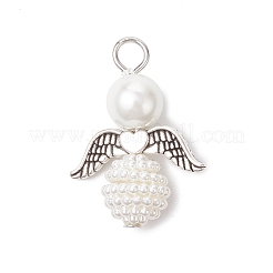 6 шт. 6 стиля подвески из акрилового искусственного жемчуга и стеклянного жемчуга PALLOY-JF04038