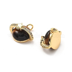 Природных тигровый глаз подвески&nbsp;KK-B129-13G-01