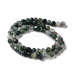 Природные моховой агат бисер нитей G-D081-A02