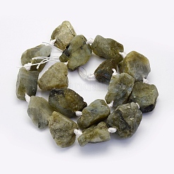 Perline labradorite naturale fili&nbsp;G-G697-E08