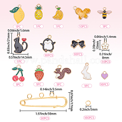 DIY Brosche machen Kits&nbsp;DIY-BM0002-38