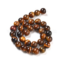 Chapelets de perle ronde en œil de tigre naturel&nbsp;G-R200-12mm