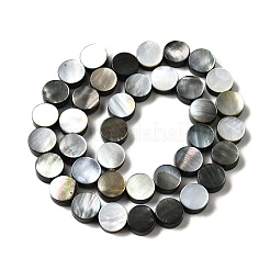 Нити бусин из натуральной черной ракушки для губ&nbsp;BSHE-D300-05-10mm