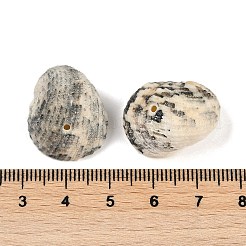 天然石シェルペンダント  貝殻の形のチャーム  グレー  16~22x13~17x8~13mm  穴：1.5mm  約121個/187g&nbsp;LS-SHEL-K009-17A