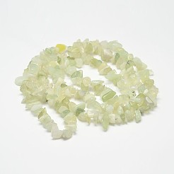 Чип природных новых нефрита бисер пряди G-N0144-01