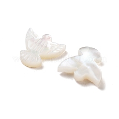 Бусины из натуральных ракушек&nbsp;BSHE-H017-02