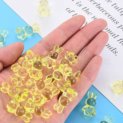 Прозрачные акриловые бусины MACR-S373-81-B06