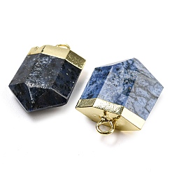 Натуральные содалитовые остроконечные подвески&nbsp;G-M431-05G-07