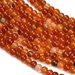 Chapelets de perles en cornaline naturelle&nbsp;GG-CBA1CAF-A01-4mm