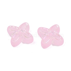 Матовые прозрачные акриловые бусины&nbsp;OACR-P029-09B-01