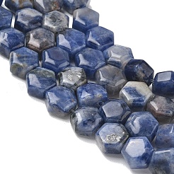 Natur Sodalith Perlen Stränge&nbsp;G-G463-A10-8x9mm