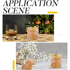 Прозрачная пластиковая ПВХ коробка подарочная упаковка CON-BC0006-13A