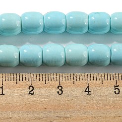 Природные Говлит бисер нитей G-L603-A01-01