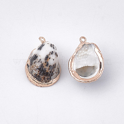 Гальванические подвески с морской раковиной SSHEL-T009-14