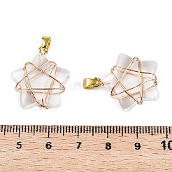 Подвески lampwork GLAA-T023-06F