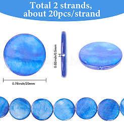 2 нити натуральных ракушечных бусин нити BSHE-SC0001-25