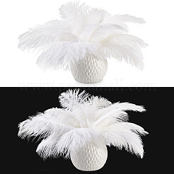 20 шт. 2 стиля аксессуаров для костюма из страусиных перьев&nbsp;FIND-TA0005-96