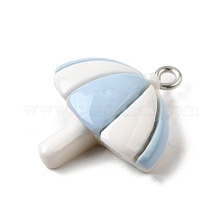 Pendentifs en résine sur le thème de l'été&nbsp;CRES-D307-09P-D