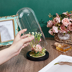 Стеклянные крышки купола cloche&nbsp;AJEW-WH0696-225A-01