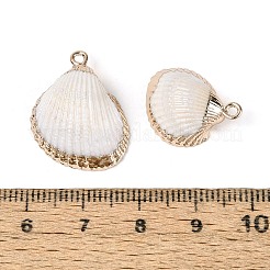 Подвески из натуральных морских ракушек&nbsp;SSHEL-N042-01