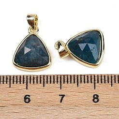 天然アパタイトのペンダント  ゴールデントーン真鍮パーツ  三角形  多面カット  14x11.5x4.5mm  穴：2.5x3.5mm&nbsp;X-G-O176L-10G