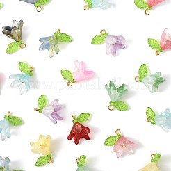 50шт прозрачные акриловые подвески PALLOY-FS00043-02