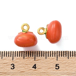 Подвески из эмали и сплава&nbsp;FIND-O003-12E-MG