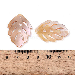 Резные подвески из натуральных пресноводных ракушек SHEL-N036-17