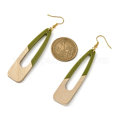 Orecchini pendenti in resina bicolore e legno&nbsp;EJEW-JE05508-04