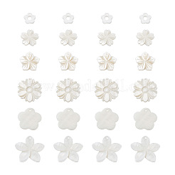 Природные подвески оболочки пресноводных&nbsp;SSHEL-KS0001-01