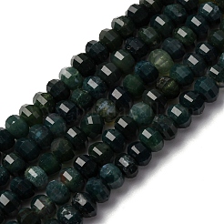 Природные моховой агат бисер нитей G-P587-D09-01