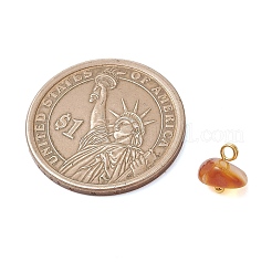 Подвески из натурального янтаря&nbsp;PALLOY-JF05061