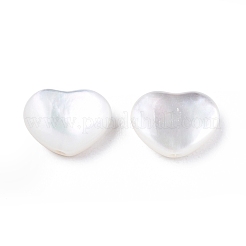 Shell perle bianche naturali&nbsp;SSHEL-N032-53