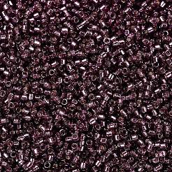 Miyuki Delica Perlen&nbsp;X-SEED-J020-DB2170