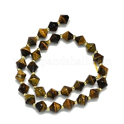 Tigre naturale perle occhio filo&nbsp;G-I376-C03-01