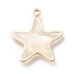 Латунь эмаль подвески&nbsp;KK-K252-10G-08