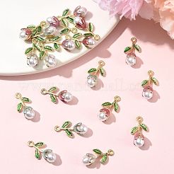 20 шт. подвески из двухцветного сплава с эмалью&nbsp;ENAM-FS0004-07