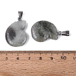 天然石ラブラドライトペンダント  巻貝チャーム  ステンレススチール製のベールスナップ付き  ステンレス鋼色  27.5~29.5x20~23x5.5~8.5mm  穴：7x4mm&nbsp;G-Q601-45B